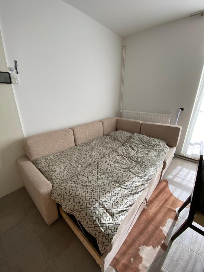 Apartma Rozi Daire Kranjska Gora Dış mekan fotoğraf